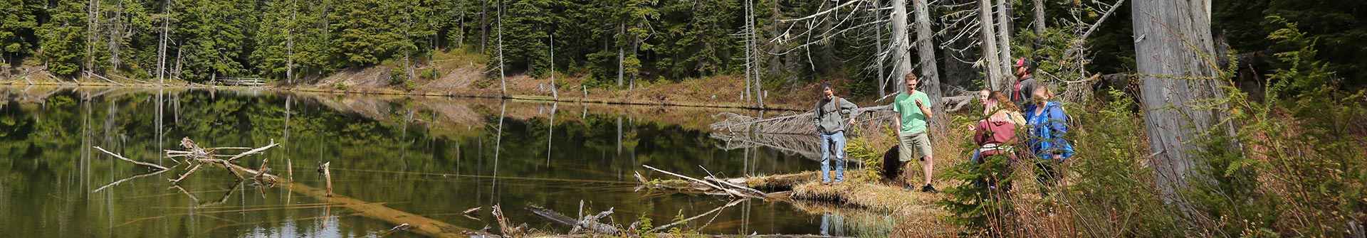 Coast Mountain Ecology