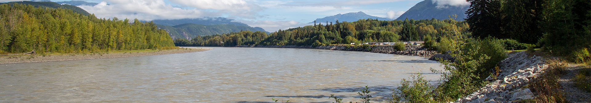 Skeena Banner 2