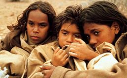 Rabbit proof fence