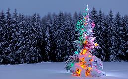 Holiday season social