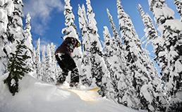 ski snowboard day