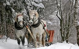 sleigh ride