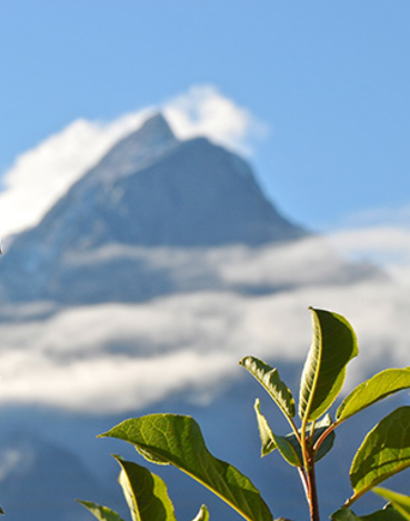 Photo of Stegyoden on a sunny day with clouds clinging to the peak.